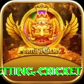 1st inning betting cricket Pro v1.9.3