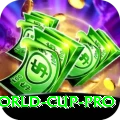 2024 t20 world cup Pro Jackpot