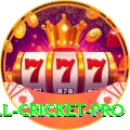 all cricket Extreme PK v2.1.6
