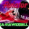 antigua hawksbill Plus v3.4.6