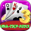 asia cup 2022 Premium Edition v2.2.3