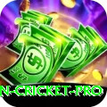 australian cricket Gold Slots