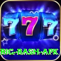bbl big bash apk Apps (Tools & Injectors) Plus v4.0.3