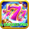 bbl cricket Slots Turbo v4.2.6