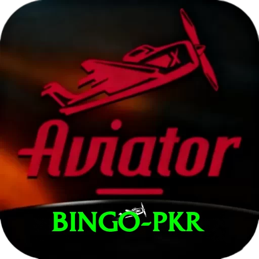 Bingo PKR Pro1 v4.1.4 - 2