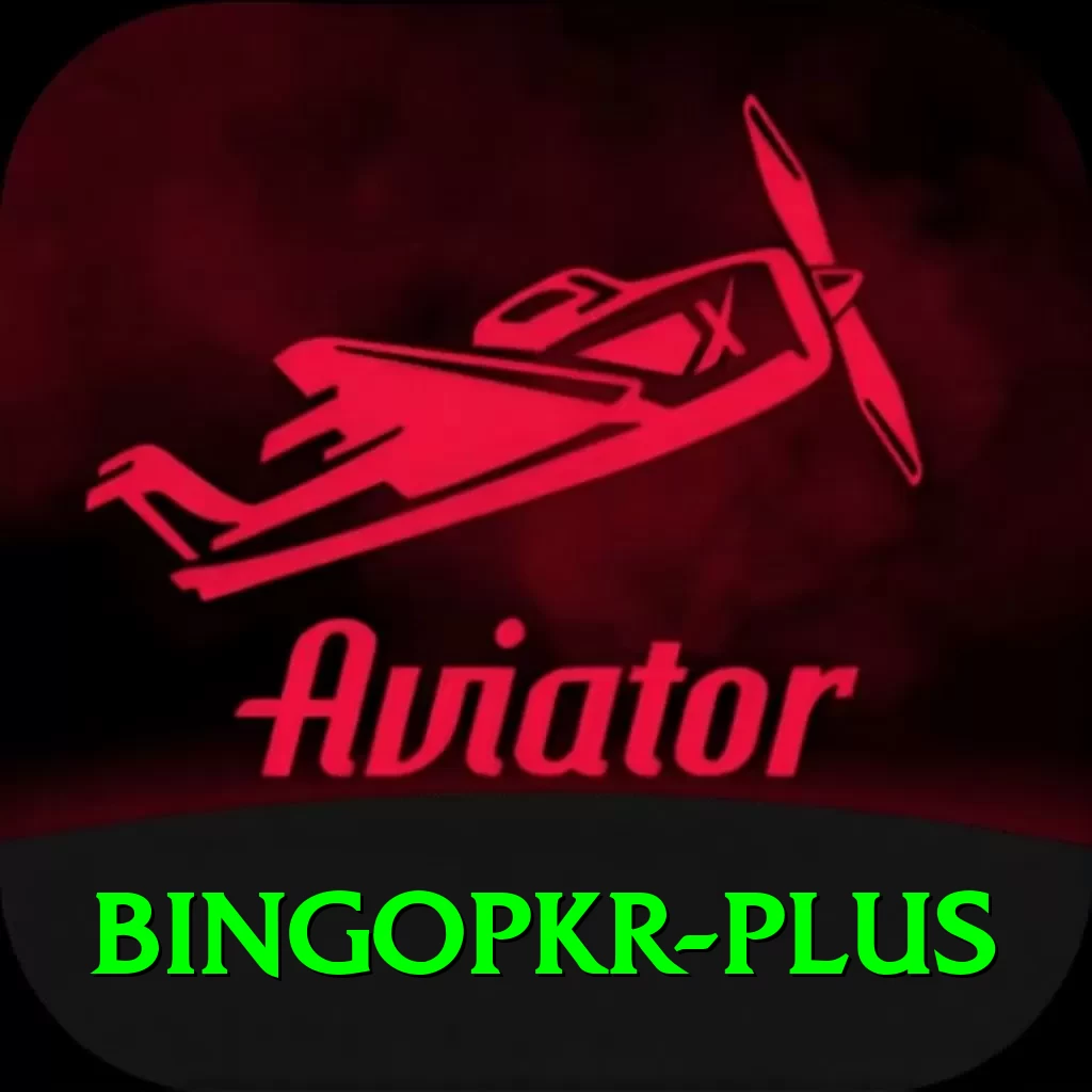 bingopkr VIP Pro v1.9.4 - 2