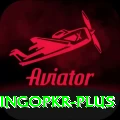 bingopkr VIP Pro v1.9.4
