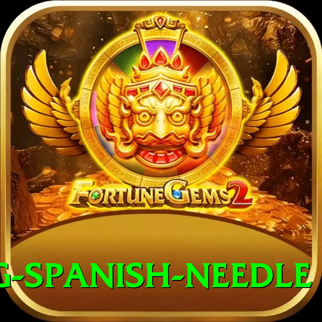 canyoning spanish needle Apps (Tools & Injectors) Turbo v3.1.3 - 2