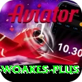 chris woakes Ultimate v1.3.9