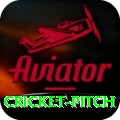 cricket pitch Gold Pro v2.0.7