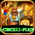 espn cricket APK Max v3.4.2