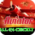 fastest ball in cricket Pro v5.2.0
