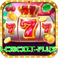 fastest ball in cricket Mega Casino App