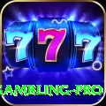 gambling Pakistan Deluxe v5.3.1