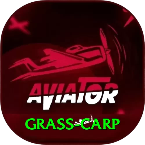 grass carp Pro Max v2.0.2 - 2