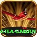 hile ilam tea garden VIP v2.3.0