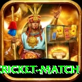 india pakistan cricket match VIP Pro v2.4.4