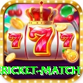 international cricket match Pro Edition v5.4.0