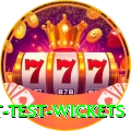 most test wickets Master v3.8.3