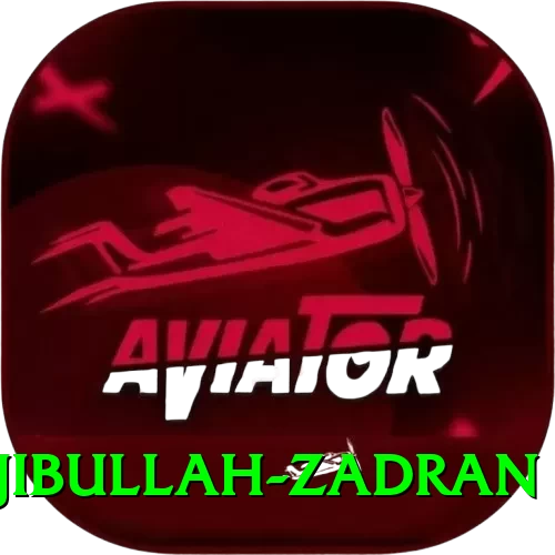najibullah zadran Gold v3.3.8 - 2