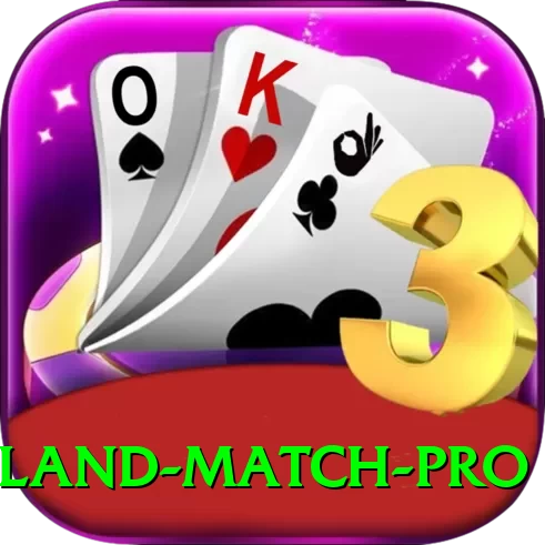 new zealand match Champion APK v1.1.8 - 2
