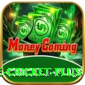 online cricket Game Max v1.2.6