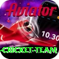 pakistan women cricket team Pro Edition v5.2.8