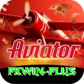 pkwin Plus v3.0.8