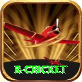 r cricket Deluxe Edition v4.0.8