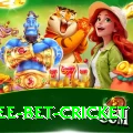 risk free bet cricket Premium v3.3.1