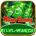 steve waugh Plus Edition v3.8.1