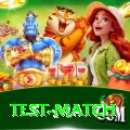 test match Pro