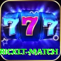 to day cricket match Deluxe v3.9.8