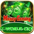 under 19 cricket world cup Plus Edition v4.6.0