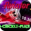 virat kohli cricket Master v1.3.1
