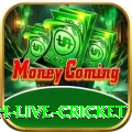 watch live cricket Games (Casino & Earning) Master v4.4.0