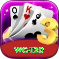 wc t20 Apps (Tools & Injectors) Plus v4.3.5