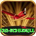 world cup t20 schedule Pro v3.5.6